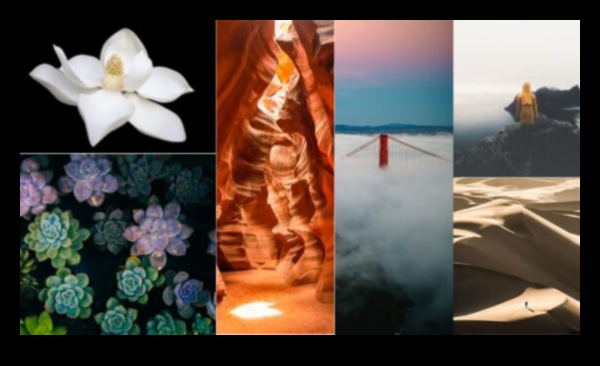 השגת הרמוניה חזותית בצילום 5 טכניקות מפתח 4 הרמוניה חזותית: טכניקות לאיזון אלמנטים בצילום