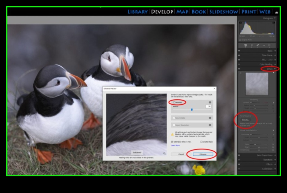 מצוינות בעריכה: הדרכות מתקדמות לאחר עיבוד