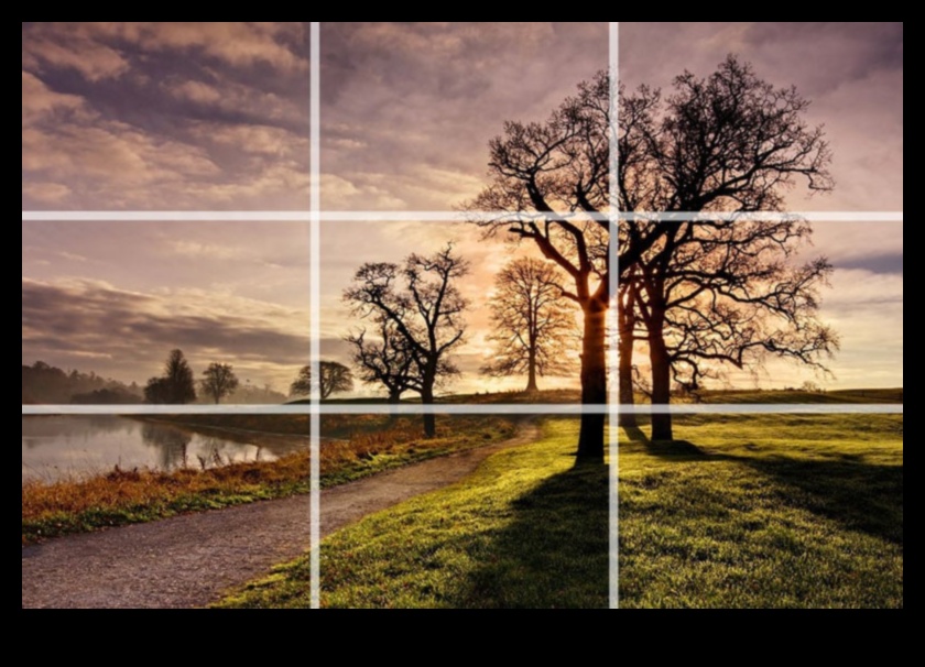 מסגרת נכון 5 עצות קומפוזיציה לצילום תמונות מדהימות 4 מסגרת נכון: טיפים חיוניים להרכבה ליצירת צילומים מדהימים