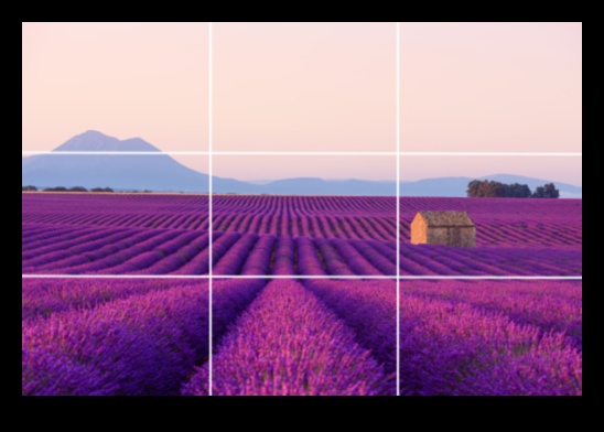 מסגרת נכון 5 עצות קומפוזיציה לצילום תמונות מדהימות 2 מסגרת נכון: טיפים חיוניים להרכבה ליצירת צילומים מדהימים