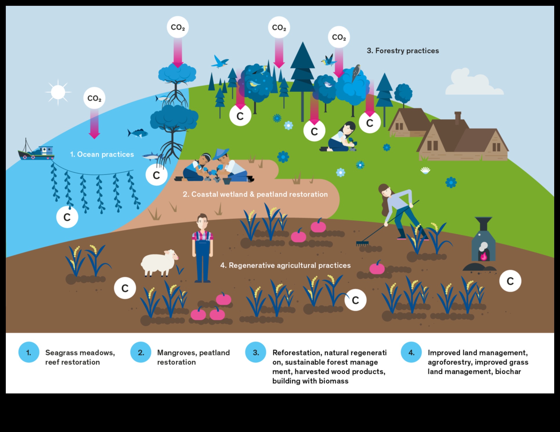 יצירת ברק ירוק בפענוח הסודות של פתרונות ברי קיימא 2 יצירת הברק ירוק: טכניקות שנחשפו בפתרונות סביבתיים