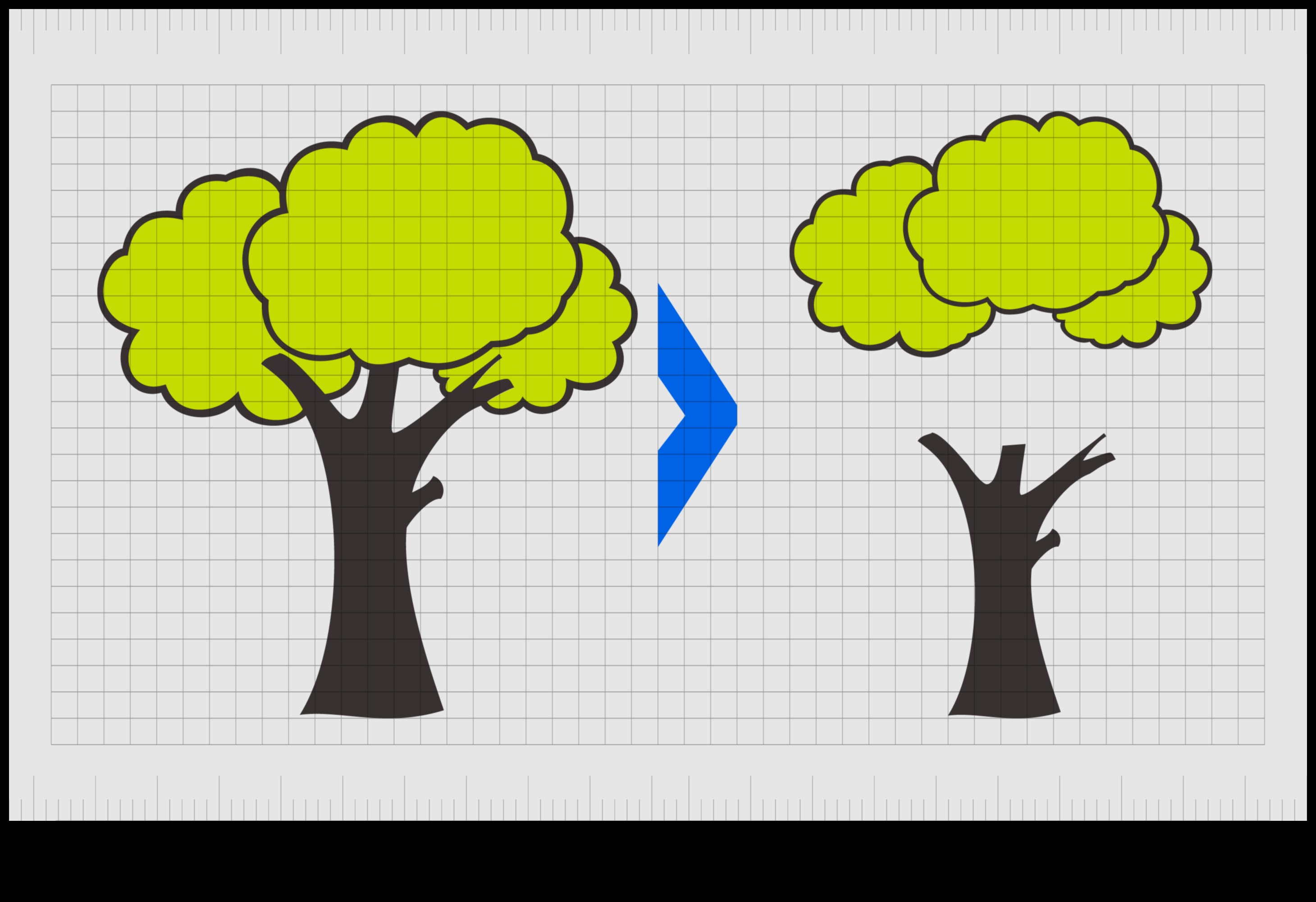 הרמוניה דיגיטלית: איזון אלמנטים בעיצוב אתרים