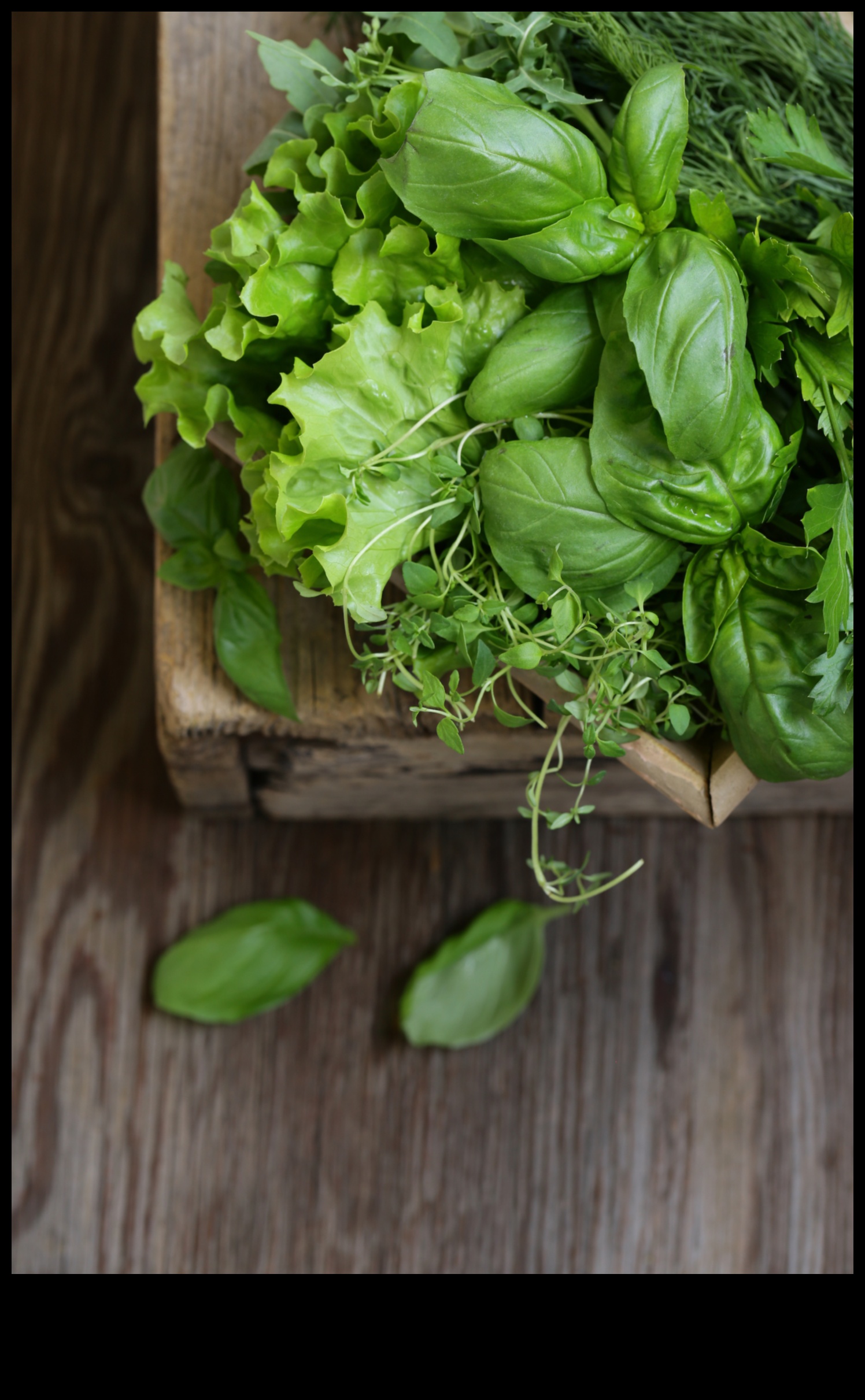 גסטרונומיה ירוקה: לשחרר את תענוגות החיים הצמחוניים