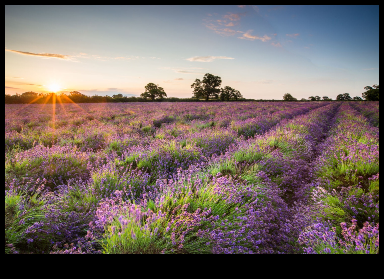התמקדו בברק: טיפים חיוניים לתמונות מדהימות
