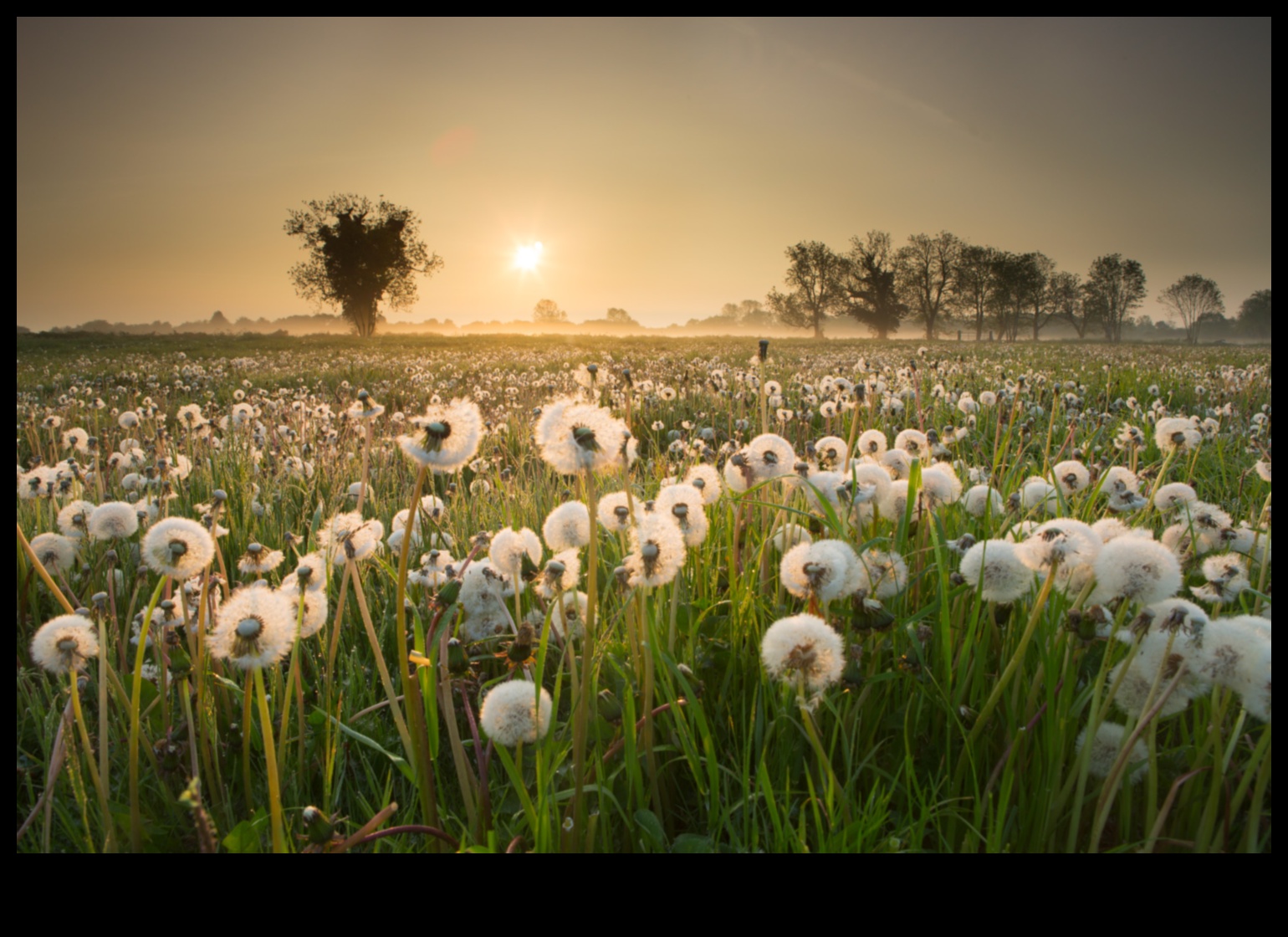 התמקדו בברק: טיפים חיוניים לתמונות מדהימות