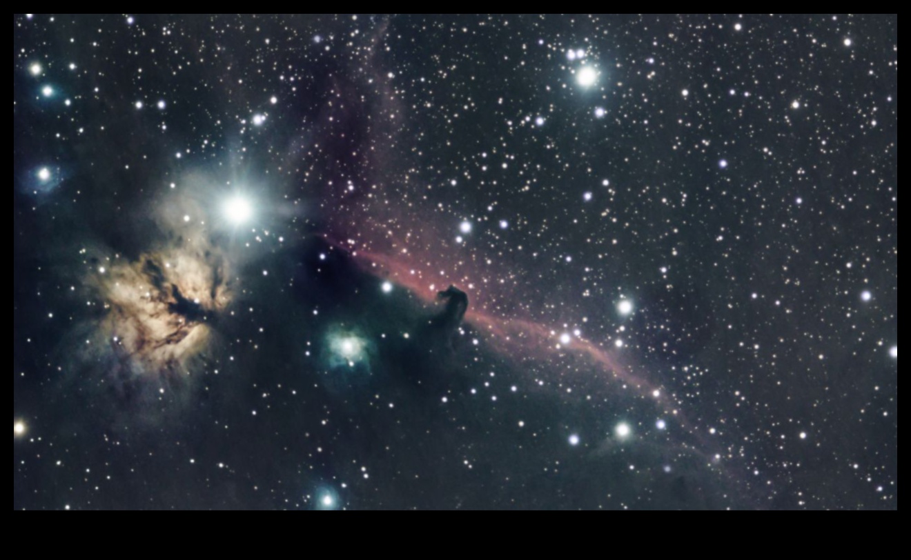 אופקים שמימיים: הרחבת הידע באמצעות חקר החלל