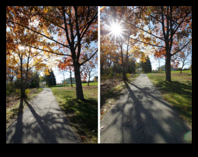 מחזה התלקחות שמש כיצד ללכוד את הדרמה של התפרצויות שמש 5 מחזה התלקחות שמש: טכניקות ללכידת הדרמה של התפרצויות שמש