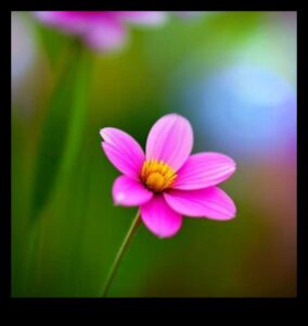 Bokeh Bliss: טכניקות פרו להשגת רקעים חלומיים