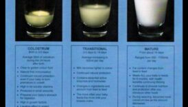 Love's Liquid היכולת והקסם של חלב אם 3 הנוזל של אהבה: הכוח והקסם של חלב אם