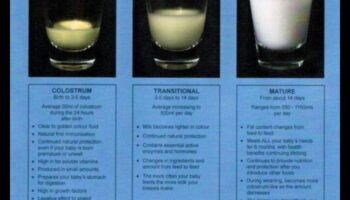 הנוזל של אהבה: הכוח והקסם של חלב אם