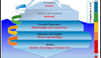 ביקורת הלכה למעשה: גישור נקודות מבט והבעה יצירתית