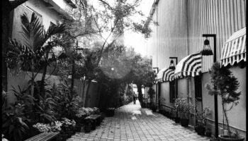 Chronicles Candid: תיעוד החיים בסגנונות צילום אותנטיים