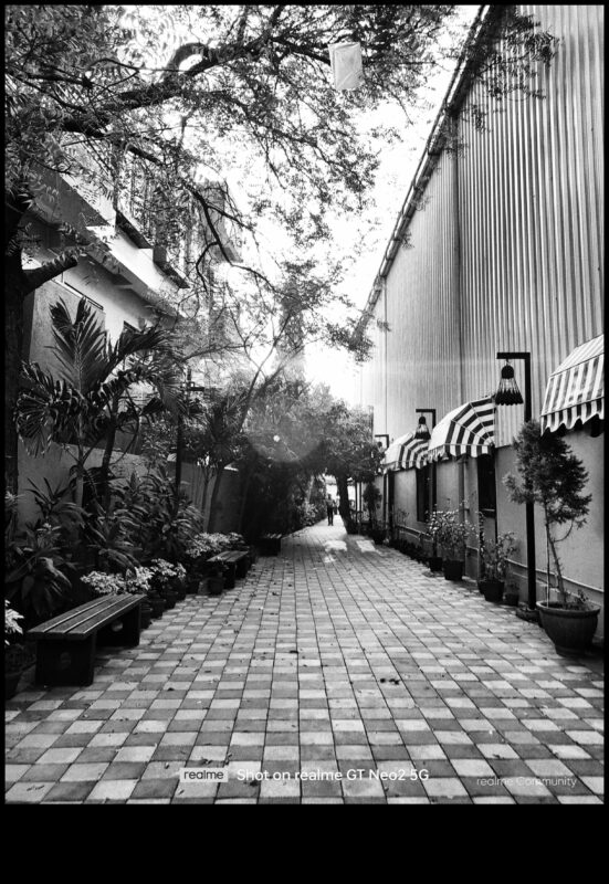 Chronicles Candid: תיעוד החיים בסגנונות צילום אותנטיים