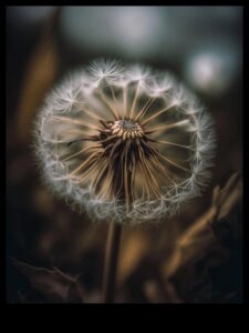 מאקרו קסם: לכידת את מהות היופי בכל פרט זעיר