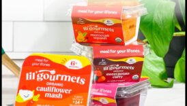 מזון לתינוקות אמיד בחומרים מזינים גסטרונומיים, מעדן וכמו כן בדיוק כמו שצריך עבור הקטן האינדיבידואלי שלך 1 Gastronomic Glee: מזון לתינוקות עשיר בחומרים מזינים המותאם לבלוטות טעם זעירות