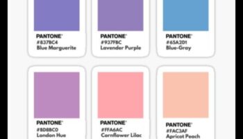 גוונים שמימיים: שלמות פסטל למשתלות